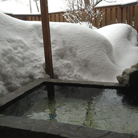 Minamiya 山とねこと遊ぶ宿 みなみ家 Hakuba Luaran gambar